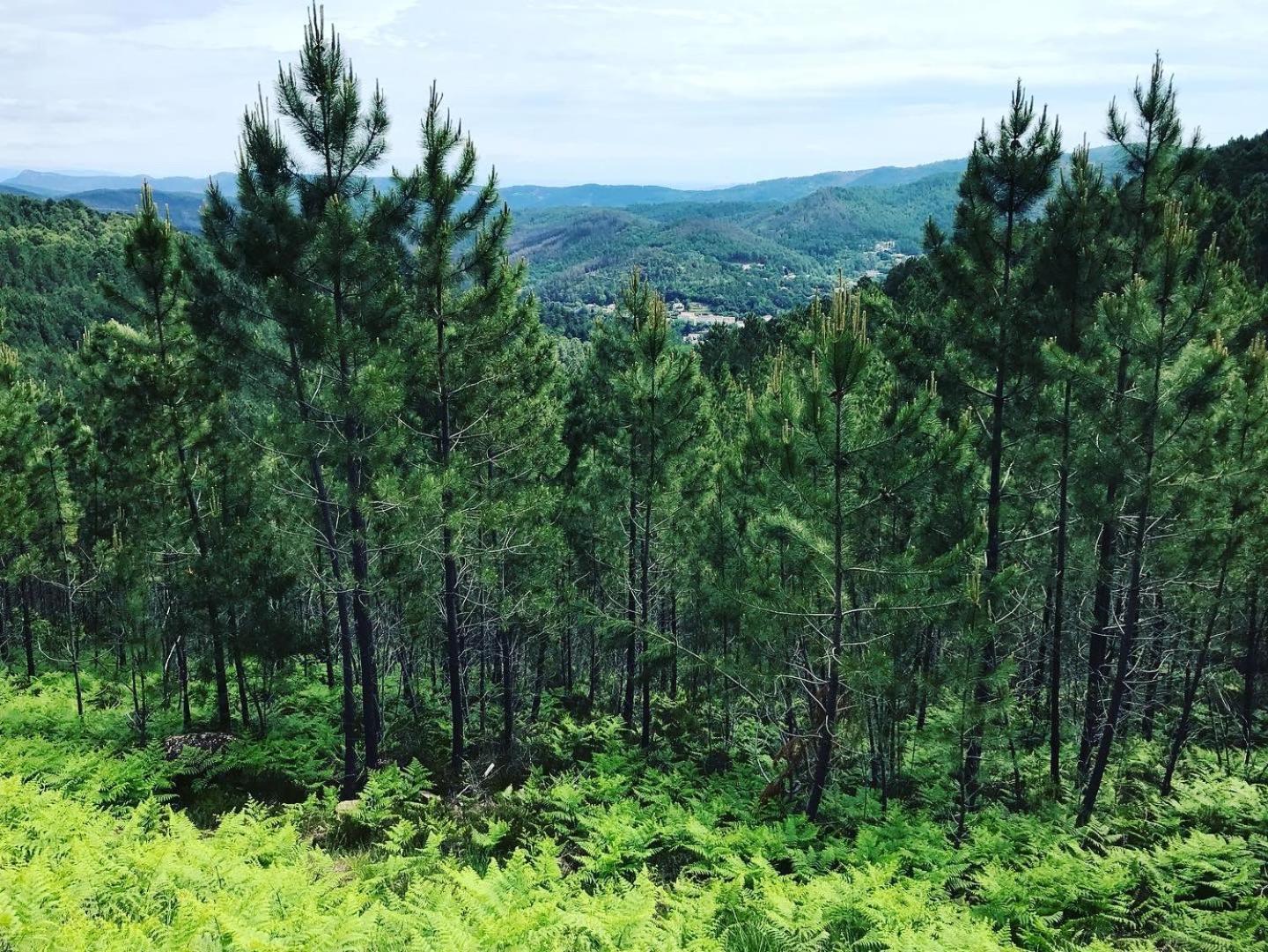 Detente Au Coeur Des Cevennes Besseges Εξωτερικό φωτογραφία